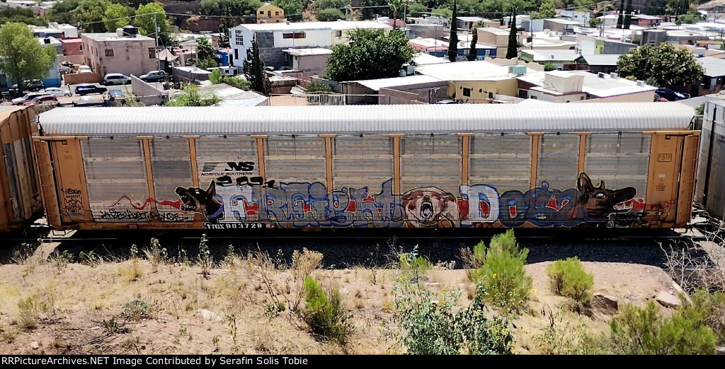 NS 28797 TTGX 983728 Con Grafiti 